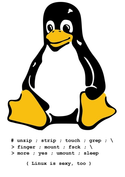 Linux Is Sexy