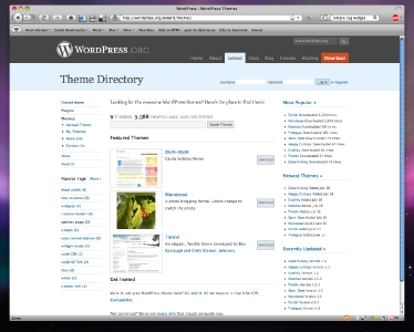 wordpress-extend-theme.jpg